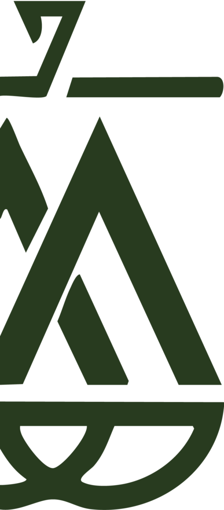 logo vert divisé en deux (coté droit) d'Alexis Morin Avocat