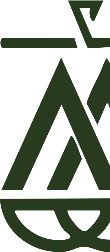 logo vert divisé en deux (coté gauche) d'Alexis Morin Avocat